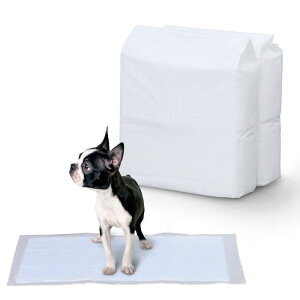 [uh] ACXI[} ybgV[c ^ p