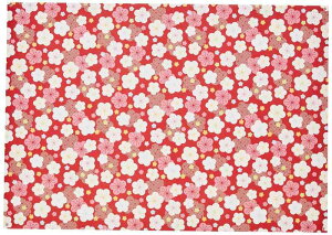 TTK(Sasagawa) ^J 10[ j~ ˔ 49-7772