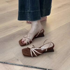 T_ fB[X rv tbg ؂ [} XNGAgD obNXgbv ԕ wlC 킢  F x[Wn  ubN 5cm