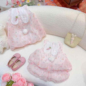 qpZbgAbv LbY ̎q ĕ  m[X[u Zp ㉺ 2_Zbg ct ۈ牀 w i 킢 et |GXe sNn CG[n