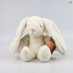 bN LbY 킢 ETM jW `[t obO ʂ ӂӂ AC{[ ʊw ig