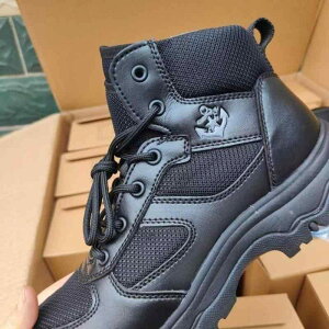 Xj[J[ Y y ʋC bV bV[Y PC  TChWbv ? ͒u[c jO X|[c ^ g 