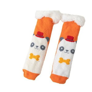 C LbY xr[  N  ~ߕt pC ~p O Rbg Aj} sNn u[