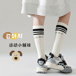 C LbY X|[c\bNX nC\bNX qp j̎q ̎q ʋC z XgCv {[_[  t H MTCY LTCY XLTCY 3 4 5 6 7 8 9 10 11 12