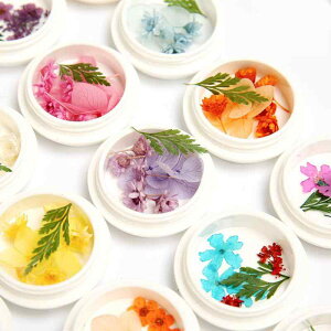 tFCXp WG[ V[ LL rW[ CXg[ hCt[  lCp[c fR[V uC_ CNAbv q LbY RXv