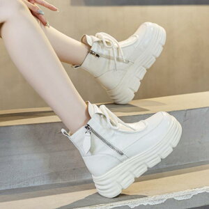 Xm[u[c fB[X wlC {v U[ JWA X|[c C h  EhgD ~h zCg  킢 ꂢ ig H~