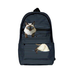 bNTbN fB[X Y e obNpbN IbNXtH[hz 􉽊w͗l vg ʊw s h  ϖՐ @\ JWA X^C