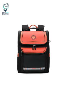 hZ w LbY y  ʋC j̎q ̎q 킢 􉽊w͗l    p[v u[ ubN