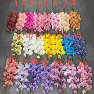  3Dvg  9{ CeA   tFCNt[  sNn VpF