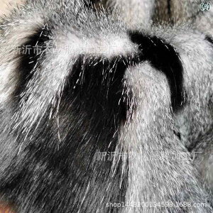 ѕz uPbg  t|y~~z tFCN E H tFCNt@[ xbhXvbh xbhX[ G| |GXe 􉽊w͗l ubN 240cm 180cm 200cm 220cm NbVJo[ CX