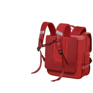 hZ w j̎q ̎q 1N 2N  bh  u[ PUU[ h y ʊw  킢 