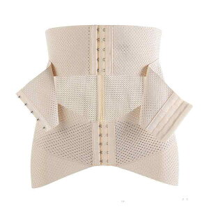 EGXgjbp[ fB[X ␳ Y Ճxg RZbg   ␮  ^ ʋC |GXe x[W ubN