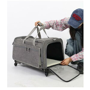 ybgobO fB[X Y  Lp L[obO e ܂肽 g\ 35҈ȓ L  DF F sN u[