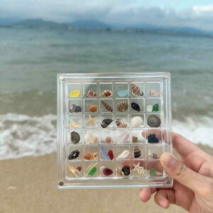  fB[X Y AN  VF^ ` Cӕ ~jTCY Xg[[ fBXvCP[X 36  [fR[V