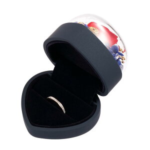 wփP[X fB[X  gїp ANZT[ [ [F sNF