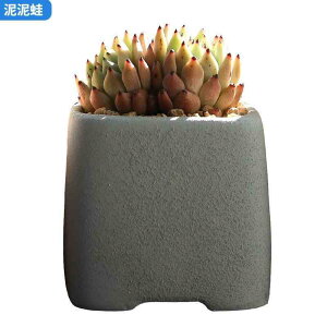 ԕr fB[X A Aؔ 퐻 ؍ 킢 `  | ƒ؉ VF [F F Ԗ͗l