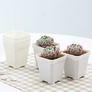 植木鉢 レディース 多肉植物 サボテン 寄せ植え プラスチック鉢 白 黒 スクエア 7号 10号 大容量 厚手タイプ 園芸 家庭菜園