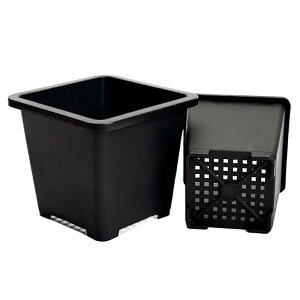 Aؔ A T{e  vX`bN   ~jTCY TCY | ƒ؉