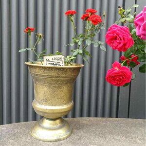 ԕr  S F ؍ K[fjO |  x_ fXN G