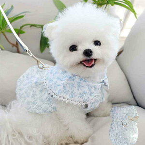  s[X  L ybg `[ t ԕ t  ^ \ 킢 