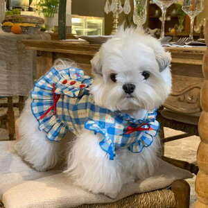 ybg ^   AX Xg[[ RX`[ V[Y[ }`[Y rVt[[ ViEU[ NVbNu[ gO[ lIsN `[YCG[ 킢 J