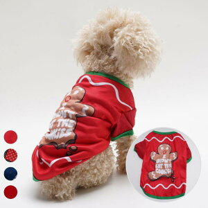 p Lp NX}X  TVc ybgEFA 킢 J[gD[ vg RX`[ |GXe u[ bh Cbh KF ^