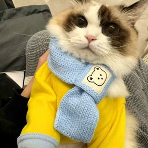 ybgp  tH~ ^ 킢 p[J[ }t[t  h g L ^ |GXe CG[