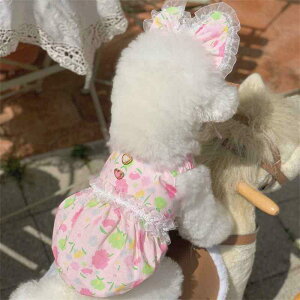   ybg ViEU[ |jA efB L  vg s[X XJ[g + wAANZT[ ^ ^ sNn u[n 킢 