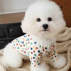 ybg ^ t Rbg g[i[ 킢 q ^ p[J[ Lk ` gCv[h  ig sNn