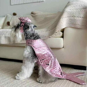  t   ^ L p RX`[ l efB ViEU[ ybg AN sNn u[