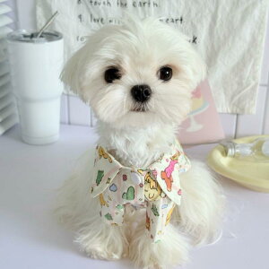 ybg t   킢 敗 Vc e ʋC ^ ^  XgCv F F F  F  F L