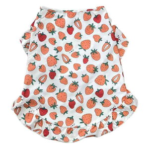 p  wS t  ^ ^ 킢 |GXe bh  u[ ԕ