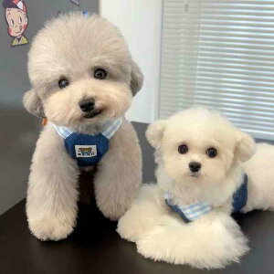 Lpn[lX [h Zbg fj xXg Xqt 킢 ^ ^  ybg  CMX