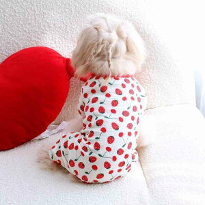 Lp XJ[g ybg t 킢  ʋC K  bh XS S M L XL XXL