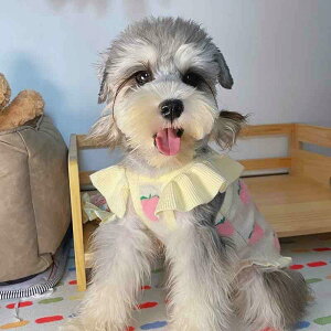 hbOEFA ^ jbg  H~  킢 Z[^[ [NV[ }`[Y sNn