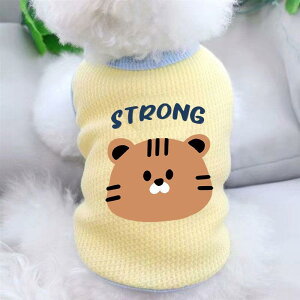 ybg L fB[X 킢  |GXe z l` L p h ё΍ lr  wS JWA CG[ u[ O[ sN