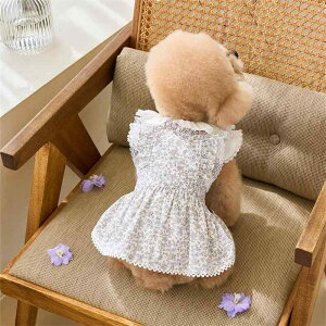 ybg fB[X s[X  ^  H~  a t[vg XS S M L XL