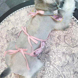  hbOEFA | Gv 悾ꂩ h~ ₦΍ ^ 킢 |GXe sNn CG[n u[n fCW[