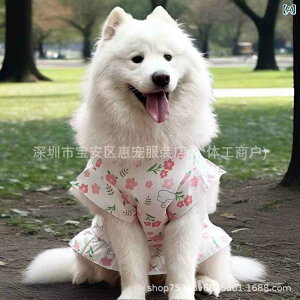  ^ TGh t s[X  t ʋC 킢 wS |GXe ^ ^