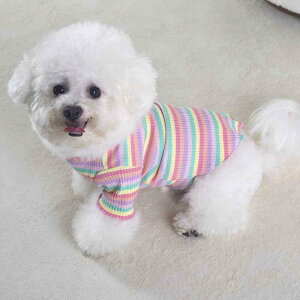   H~ ^ ^ 킢 s[X XJ[g `[ rainbow J[ hbOEFA