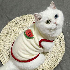 ybg L ^   G 킢 hbOEFA TVc ё΍ pXeJ[ ʋC