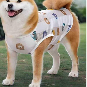 ybgpxXg  tďH  ʋC bV ^ ^ ^ t`uhbO R[M[ Č 킢 F  pCibv  Aj}