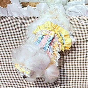  XJ[g ^p |GXe 킢 [^ oG tH i hbOEFA