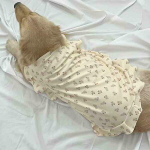  t ^p XJ[g  |GXe 킢 F ^Ngbv S[fgo[ uh[ TGh O΍