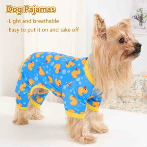 ybg  Lp pW} [EFA 킢 Aq hbOEFA LbgEFA ^ ^ u[ XS S M L