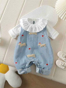 xr[ ㉺Zbg tH  gbvX fj Tybg 2_Zbg 킢 S  ԕ 100%