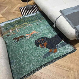 O J[ybg O~ CeA A[g ؍  _bNXth uPbg Ђ| | 