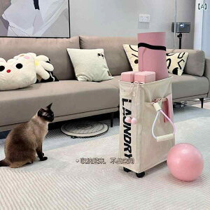 h[oXPbg z ܂肽 LX^[t X Õz IbNXtH[h e 󂩂 h[[ ^щ\ ?????? Vv 50L