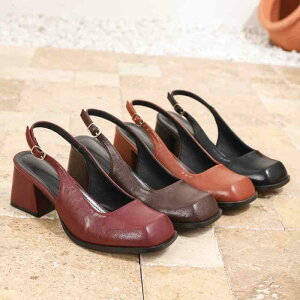 pvX fB[X q[ XNGAgD Cbh 傫TCY q[ 6cm ubN [F J[LF t H~ ؍