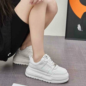 Xj[J[ fB[X Xj[J[ Cq[ 6cm`8cm  U[Xj[J[ v ^C X|[cV[Y jOV[Y t H y ig